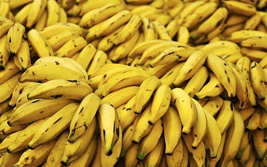 Уровень радиации может измеряться бананами