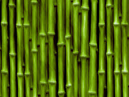 Интересные факты про бамбук
