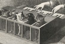 Кошачий клавесин