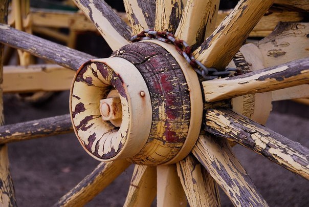Парадокс колеса, над которым ломали голову Аристотель и Галилей