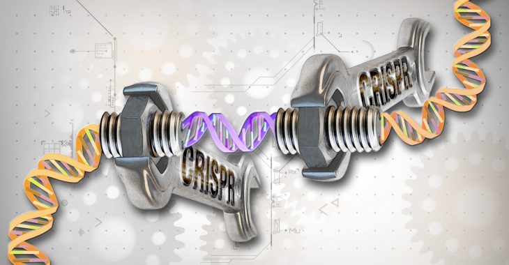 CRISPR редактирование генома