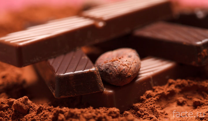 шоколад и какао