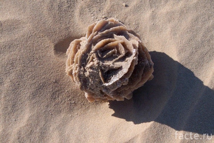 Каменная роза на песке