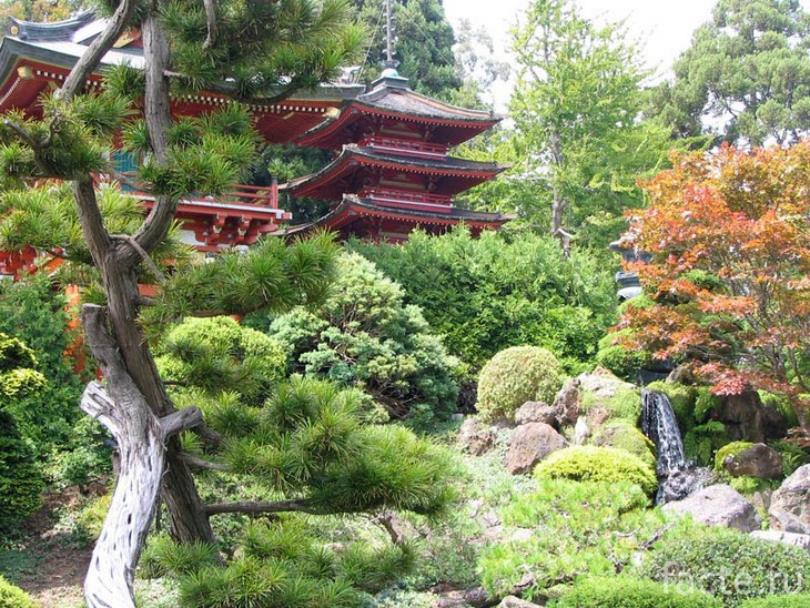 Японский сад 10
