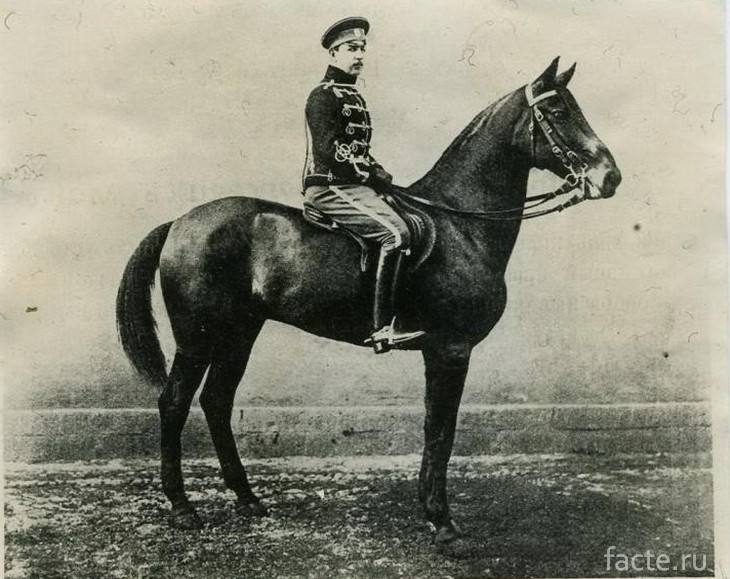 Сотник Д. Н. Пешков на коне