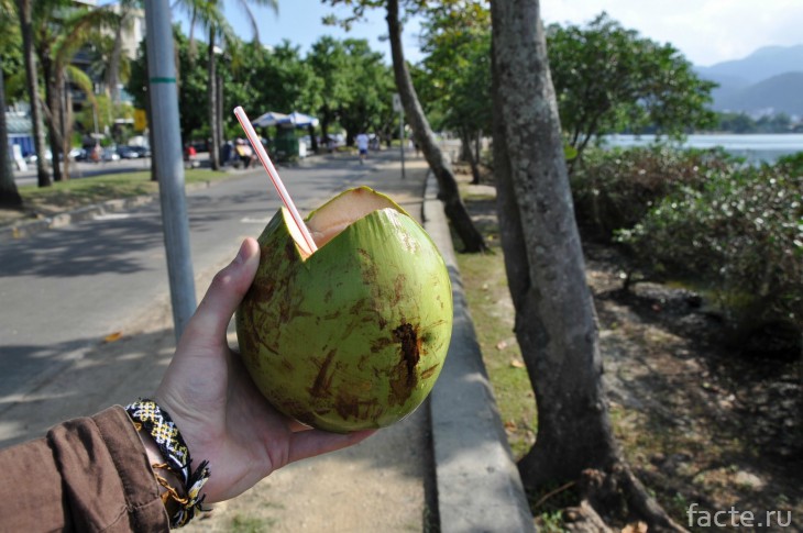 Молодой кокос