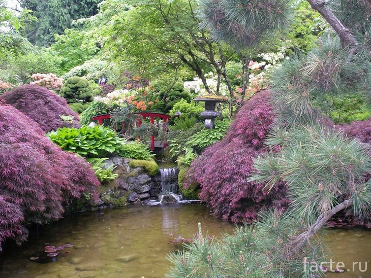 Японский сад 7