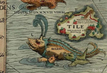 Морские монстры на карте Олафа Магнуса
