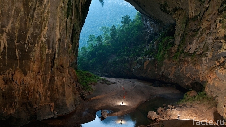 Экосистема пещеры Эр Ванг Донг
