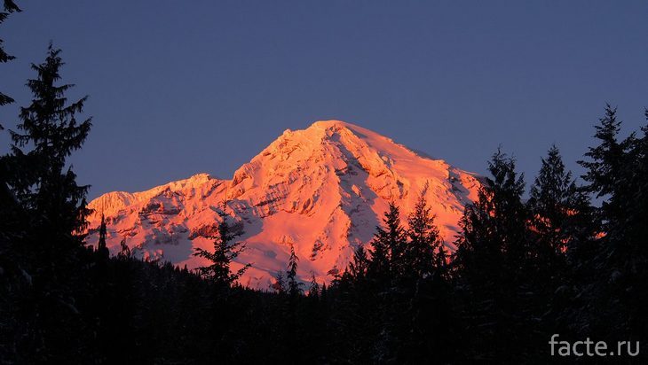 Гора Райнье на закате
