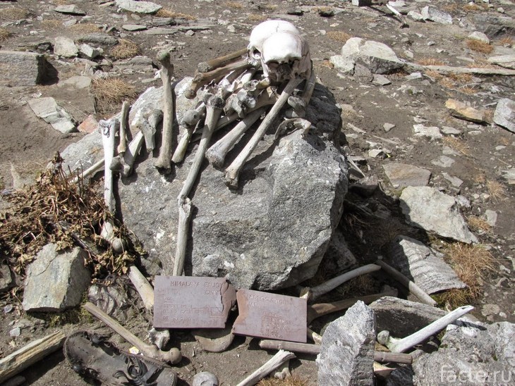 Скелеты из озера Рупкунд