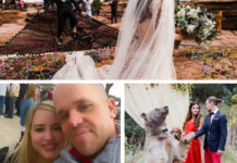 Три необычные свадебные истории