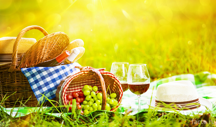 Вино на пикнике