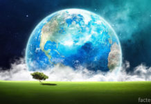 Мир планеты Земля