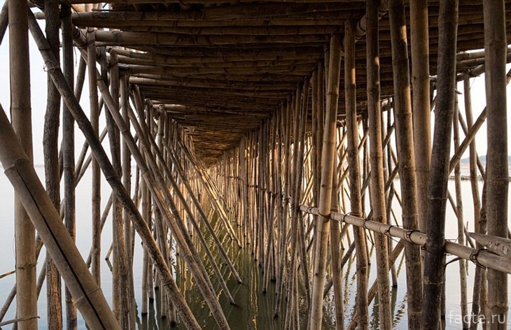 Бамбуковый мост в Камбодже 