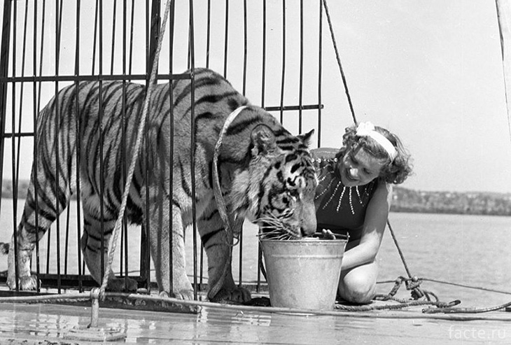 Маргарита Назарова с тигром