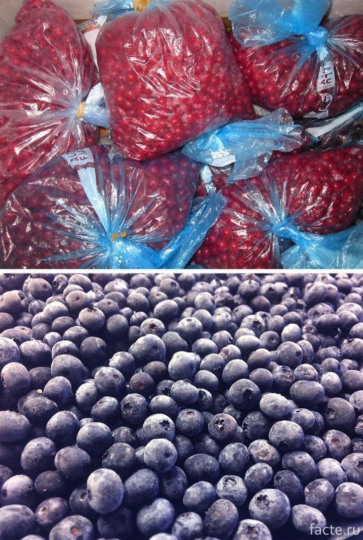 Замороженные фрукты какие. Замороженные фрукты. Заморозка ягод. Ягода свежемороженая. Мороженные ягоды.