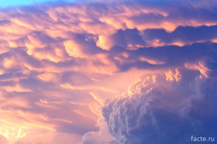 Mammatus, или «вымяобразные» облака