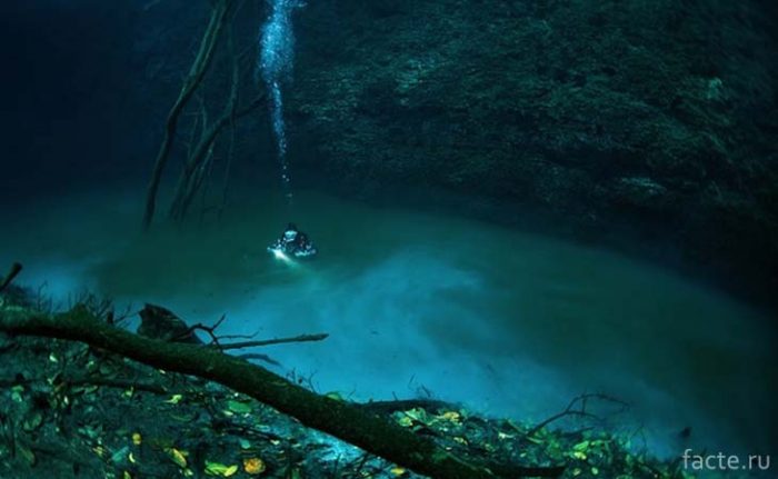 Подводная река Анхелита