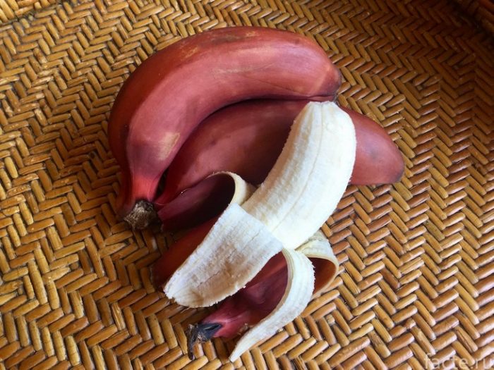 бананы 2