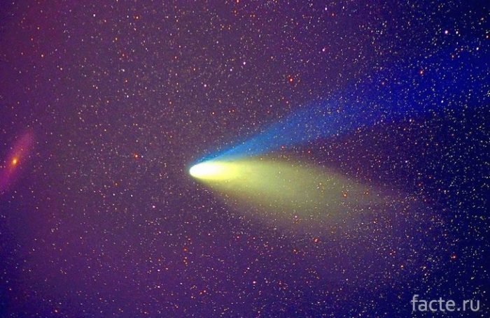 двухвостая комета