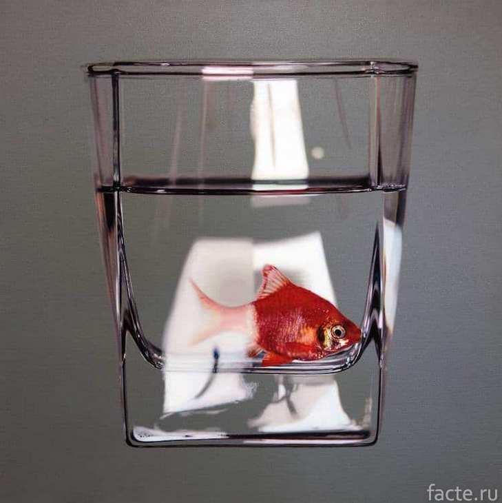 рыба в стакане